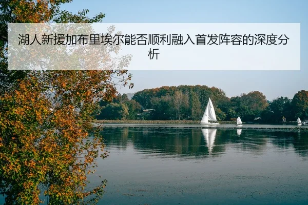 湖人新援加布里埃尔能否顺利融入首发阵容的深度分析